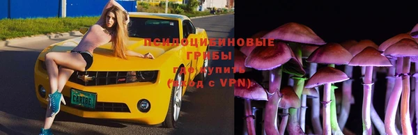 амф Арсеньев
