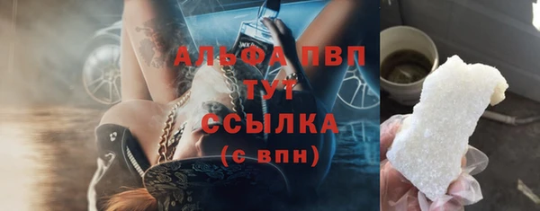 амф Арсеньев