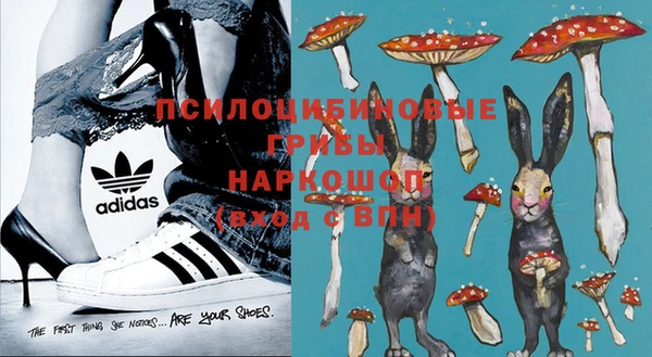прущие грибы Алексеевка