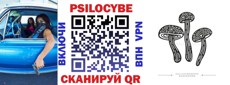 Галлюциногенные грибы Psilocybine cubensis  Тавда 